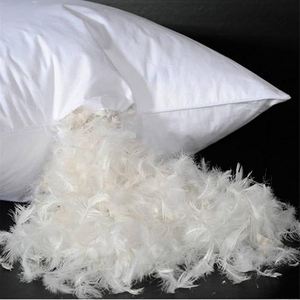 ไส้หมอนขนเป็ดขาว ซักได้ ไส้หมอนใยฝ้าย ผลิตตามสั่งสำหรับโรงแรม - Product Image 1