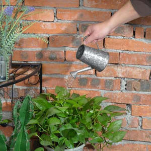 Regadera de Metal en Galvanizado Vintage con Diseño Elegante, Perfecto PARA EL Cuidado de Plantas en Interiores y Exteriores, Herramienta de Jardín Elegante y Duradera - Product Image 3