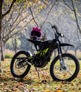 Vélo électrique tout-terrain léger Light Bee X 2025 avec système de freinage avancé – Modèle OEM pour adultes – Personnalisable - Product Image 1