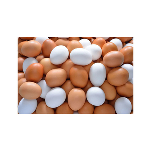 Huevos de Mesa Marrones Frescos de Granja, Proveedor al por Mayor, Alta Calidad - Product Image 1