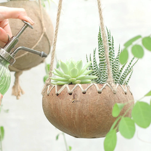 Maceta de Coco Vietnamita Tallada a Mano de Alta Calidad, Ecológica, para Decoración del Hogar y Jardín, Muestra Gratis - Product Image 4