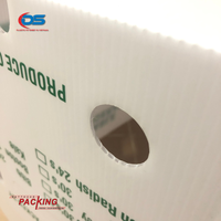 DAT THUAN Boîtes en plastique ondulé PP de haute qualité et durables, personnalisables OEM, bacs de stockage de légumes écologiques, exportation UE