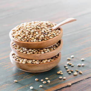 Graines de coriandre entières séchées 100 % naturelles de qualité supérieure, épice aromatique intense, en vrac, pour l'exportation, provenant de Bangalore, Inde - Product Image 1