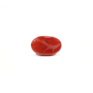Natural Oval Cut Japanese Red Coral 3.6 Carat Loose Gemstone for Fine Jewelry - Product Image 2