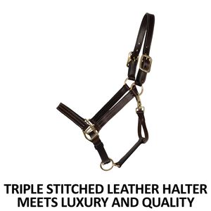 Licol de cheval durable en cuir marron et nylon, style selle anglaise, avec ferrures en laiton lisse – Accessoire en gros pour chevaux - Product Image 3