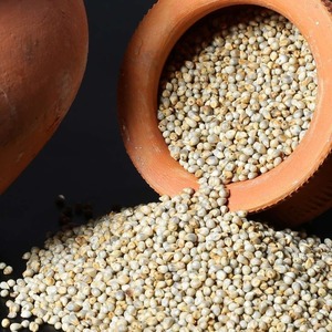<b>Millet</b> for Baking and Cooking High-Quality Grain for Bread, Cakes, and Healthy Foods - Product Image 2