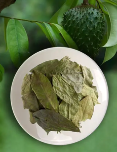 Hojas de Graviola Enteras de Alta Calidad, Materia Prima para Té de Hierbas, Baja Humedad, Fabricante de Vietnam - Product Image 3