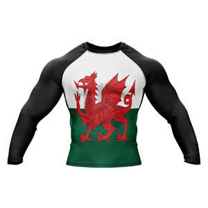 Camisetas de Compresión Deportivas para Hombre con Protección UPF50+, Mangas Largas, Diseño de Logotipo Personalizado, Marca MMA BJJ, Sublimación - Product Image 1