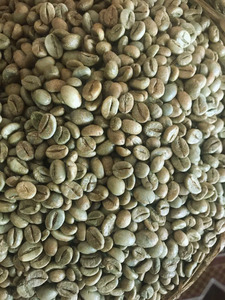 เมล็ดกาแฟโรบัสต้าออร์แกนิกคุณภาพสูง S18 สำหรับการสั่งซื้อจำนวนมาก  แบบแตกและสีดำ 0.1% เท่านั้น ความชื้นสูงสุด 12.5% - Product Image 2