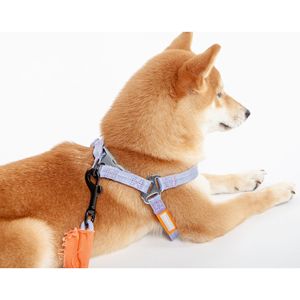Pettorina e Guinzaglio per Cani 2-in-1 in Nylon Resistente Macaron - Pettorine Premium per Animali Domestici - Product Image 4