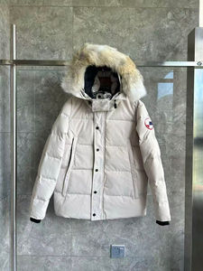 Manteau d'hiver pour homme de haute qualité en duvet de canard canadien avec fermeture éclair à 90 %, imperméable, coupe-vent, chaud, décontracté, à capuche - Product Image 4