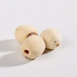 Graines de lotus naturelles de haute qualité en vrac pour l'industrie alimentaire et les marchés d'exportation - NMF (PVT) LTD Durée de conservation de 24 mois - Product Image 5