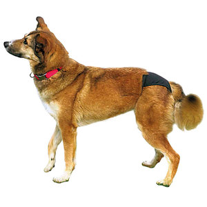 Culottes pour chien noires M 40-49 cm Couche pour animaux de compagnie - Product Image 2