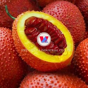 เนื้อผลไม้แช่แข็ง GAC ได้รับการรับรองมาตรฐาน BRC HACCP ขายส่งจากเวียดนาม - Product Image 2
