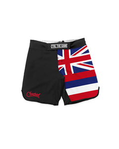 Pantalones Cortos de MMA con Estampado por Sublimación, para Hombre y Mujer, Cintura Media, Lona, Cintura Elástica, Personalizados, para Boxeo y Lucha, al por Mayor, Impermeables - Product Image 1