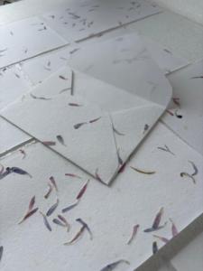 Set de Papelería con Pétalos de Flor de Astera, Sobres de Papel con Semillas Hechos a Mano, Tarjetas Ecológicas Plantables, Papel de Regalo - Product Image 2