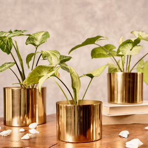 Grandes jardinières décoratives en laiton pour plantes, pots à fleurs dorés de luxe au design martelé vintage - Product Image 6