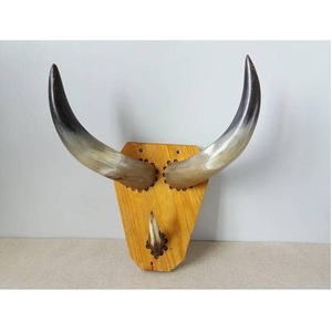 Decoración de Pared de Cuerno de Toro de Madera Rústica, Hecha a Mano, para Colgar en Casa u Oficina - Product Image 1