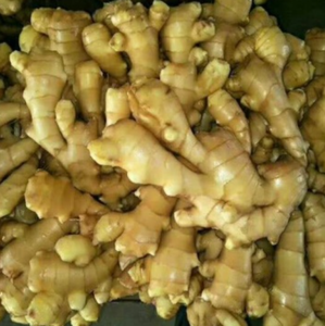 Racines de gingembre frais – Gingembre naturel de qualité supérieure – Aromatique et savoureux - Product Image 6