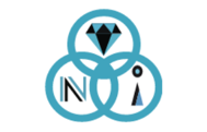 NOBLE IMPEX logo