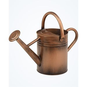 Rustic Bronze Iron Watering Can with Long Spout and Top Handle Decorative Plant Waterer Pot <b>for</b> Indoor Houseplants and Garden - Product Image 1