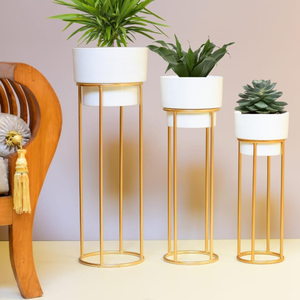 Modern Metal Decorative Floor Standing White & Gold Indoor Outdoor <b>Plant</b> <b>Stand</b> with <b>Pot</b> for Home Decor Living Room Office - Product Image 3
