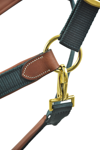 Premium Quality Horse Leather Halter with Fancy Stitching Custom Name Plate Nylon Leather Materials Customizable Indian Supplier - Product Image 3