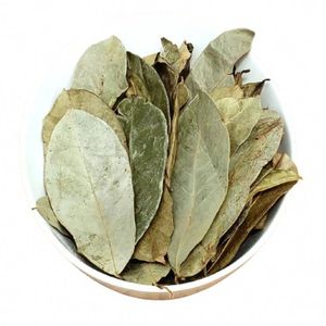 Vietnamese soursop leaves pure natural leaves pesticide free direct from Vietnamese farm - Product Image 6