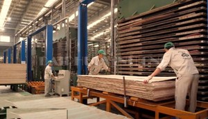 Tableros de Fibra MDF de Primera Calidad, Vietnam-3mm 25mm E0, Superficie Lisa y Duradera para Uso Interior en Muebles - Product Image 5