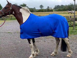 Couvertures d'hiver pour chevaux légères et professionnelles sur mesure, vente en gros, couvertures d'excellente qualité, couverture d'hiver légère pour chevaux - Product Image 5