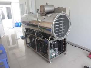 Équipement de lyophilisation commercial automatique en acier inoxydable WHFD-100, contrôlé par PLC, SUS316L, longue durée de vie, pour la transformation alimentaire - Product Image 2