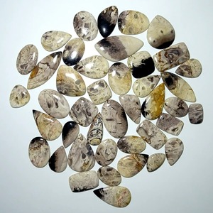 Wholesale Supply Natural Fossilized Palm Root Gemstone Beautiful Organic Pattern Stone for Jewelry Making At Best Market Price - Product Image 2