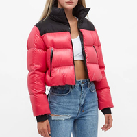 Blouson court matelassé pour femme grande taille, dégradé arc-en-ciel, col montant, style bomber, vêtement d'extérieur d'hiver, vente en gros