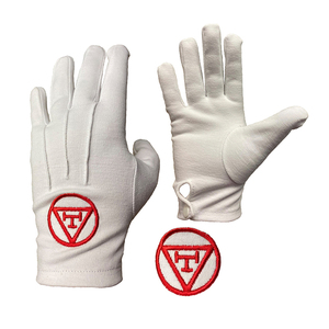 Ensemble de Regalia Maçonniques du Chapitre Royal Arch avec Tablier, Écharpe, Gants, Bijou et Étui Rigide pour Tablier - Product Image 2