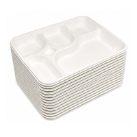 5 CP Assiettes jetables robustes en bagasse, écologiques, compostables, biodégradables, micro-ondables, pour repas, mariages et fêtes