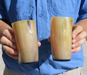 Coupe à boire en corne de vache et de buffle naturelle, faite à la main, durable, pour bière et ale, utilisation moderne à prix abordables. - Product Image 4