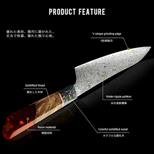Legacy Blades 5-Piece Sustainable Damascus Steel <b>Knife</b> <b>Set</b> Handmade <b>Sharp</b> Straight Edge Resin Handle Ambidextrous Kitchen <b>Knife</b> - Product Image 3