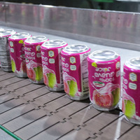Guavesap Drinkt Nawon Merk 330Ml Vruchtensap Beste Prijs Licht Kan Van Vietnam Fabriek Custom Verpakking Natuurlijke Puree