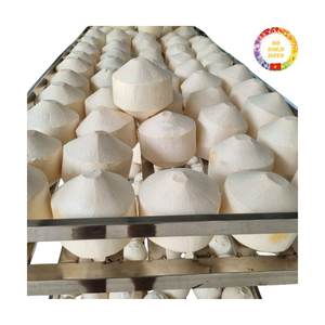 Noix de coco tendre |   Coupe diamant |   Ouverture facile |   Parfait pour les boissons estivales dans les complexes hôteliers |   Produits en vrac du Vietnam - Product Image 1
