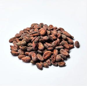 Natural Cocoa Beans Wholesale Bulk Supply Premium Quality Ready Stock Food Grade Export Manufacturer - Product Image 1