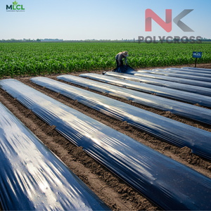 Lámina Protectora Transpirable para Plántulas Agrícolas, para el Crecimiento de las Plantas y Protección Contra la Intemperie, para Uso en Viveros y Jardinería - Product Image 1