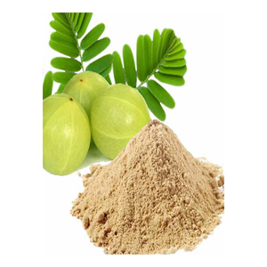 Extracto de Fruta de Amla en Polvo de Primera Calidad, Polvo de Grosella Indio, Extracto Natural de Grado Alimenticio, Suministro a Granel - Product Image 5