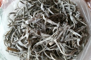 Wholesale Wildcrafted Purple Pure Irish Seaweed/ Golden Cottonii Seaweed With Competitive Price - <b>Blue</b> Lotus From Vietnam - Product Image 2