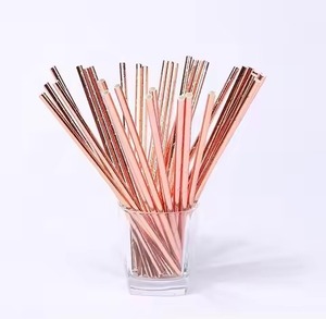 Food Grade Stainless Steel <b>Drinking</b> <b>Straws</b> Sustainable Metal Drinkware <b>for</b> Home Kitchen and Café Service - Product Image 3