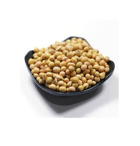 Soja prêt à l'exportation en gros pour l'industrie alimentaire et la distribution internationale - Product Image 4