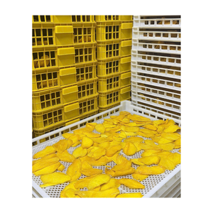 Mango Seco Suave de Vietnam, Calidad Premium, Snack Tropical Saludable, Venta al por Mayor Directa de Fábrica para Minoristas y Propietarios de Marcas - Product Image 6