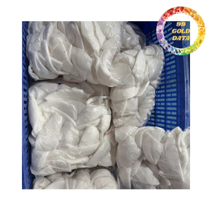 Viande de noix de coco IQF, chair de noix de coco fraîche congelée, noyau blanc naturel, qualité export, provenance Vietnam - Product Image 6