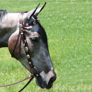 Ensemble de têtière, collier de poitrée et rênes en cuir véritable pour cheval, style western, avec concho étoile argentée gravée à la main, ensemble d'équipement durable pour l'équitation - Product Image 5