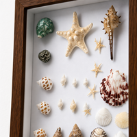 Lot de 3 cadres boîte à profondeur 11x14 pouces, présentoir 3D en MDF blanc grain de bois noir pour fleurs séchées, coquillages, décoration murale