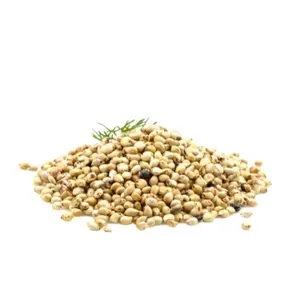 Widely Selling Crude or Refined Soya Bean Oil Best Quality Soyabean Oil Flavor Fruit Oil Supplier from India by Trusted Supplier